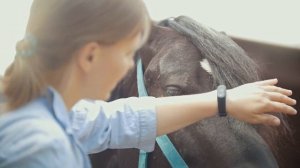 🐴 Где лечат лошадей и крупный рогатый скот?