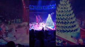 Московский ЦИРК 2024