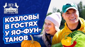 Как превратить заброшенный участок в сад? | 3 серия | «Пусти Козловых в огород»