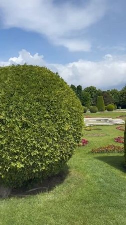 Очень красивый парк в Вене
