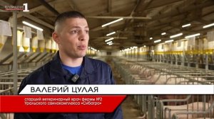 Профессионалы «Сибагро» Валерий и Ксения Цулая