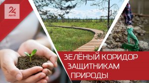 Экоборьба по-настоящему: чем отличаются истинные экоактивисты от желающих заработать на грязи?