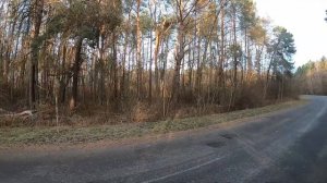 Охота с гончими на зайца у Польской границы