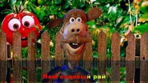 Я не сажаю больше помидор