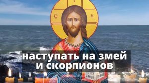 ЕСЛИ ВАМ ПРИНОСЯТ ПОРЧУ ПОД ПОРОГ, ПОДКЛАДЫ: ОТЧИТКА Р?