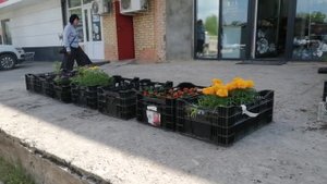 23-05-2025 пошла гулять