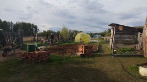 Посадила лук ПО-КИТАЙСКИ/Огородные хлопоты/Деревня/