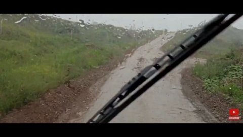 С днём водителя!
