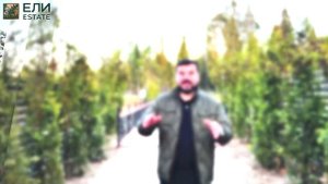 Где вы встретите Новый год? В квартире или в своём доме?