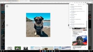 как поставить крутого мопса на обои