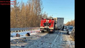 01.03.2025г- На двух ФАД в Амурской области за сутки произо?
