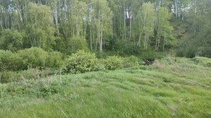 Прогулка в окресноснях д. Зотино