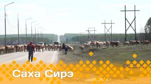 «Саха сирэ» информационнай биэрии. Ыам  ыйын  22 күнэ 20:30