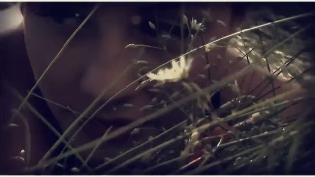 Леонид Руденко, Wipo, KOREL & Neel - Destination смотреть онлайн