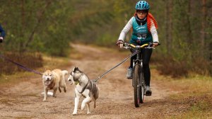 Этап кубка  России 2025 - Ола