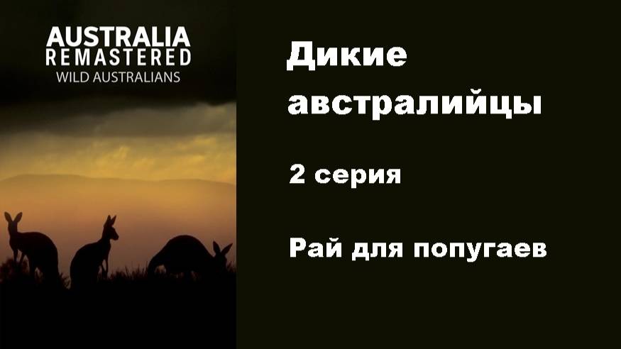 Дикие австралийцы. Рай для попугаев (2/6)