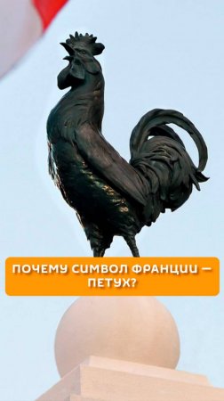 Почему символ Франции – петух?