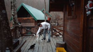 Научить собаку крутиться 🐩 Команды Круть и Верь с нул