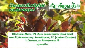 "Во саду ли, в огороде" ( Выпуск от 23.05.2025)