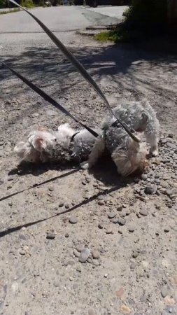 наслаждение жизнью