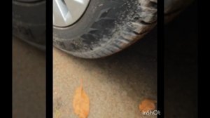 Хавал м6  какие брызговики стоит брать.https://ozon.ru/t/YYxzk2B