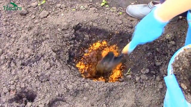 Удобрение из отходов - 7 дач смотреть онлайн