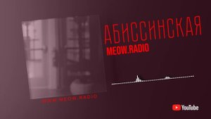 Абиссинская порода кошек (Аудио)