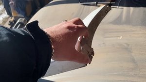 ИЗ ЛАДЫ ГРАНТЫ В СПОРТ ГРАНТУ?.ДОЛГОЖДАННАЯ ДОРАБОТКА