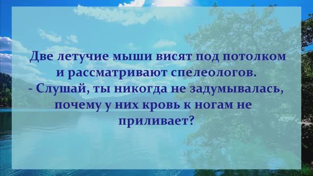 21 . АНЕКДОТЫ ОТ И ДО