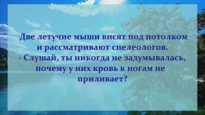 21 . АНЕКДОТЫ ОТ И ДО