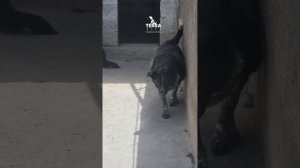 не болейте,  живите долго!