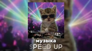 ✰энергичный плейлист песен Бьянки