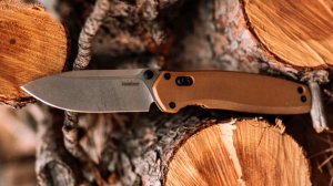 БУДЕМ НАДЕЯТЬСЯ И ВЕРИТЬ! Kershaw Broadside складной нож