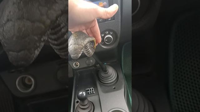 2din магнитола и ручка КПП нива легенд смотреть онлайн