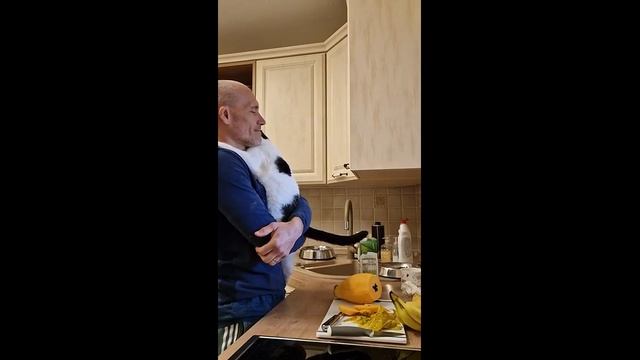 Кот хочет обниматься - 2024 год (uu)