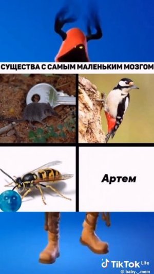 1000025495.mp4