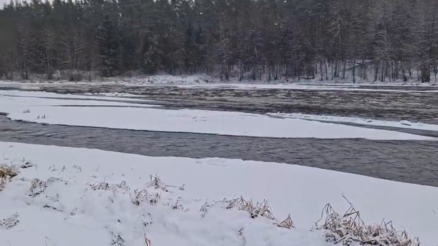 Прогулка на реку вместе с собакой в морозный снежный д