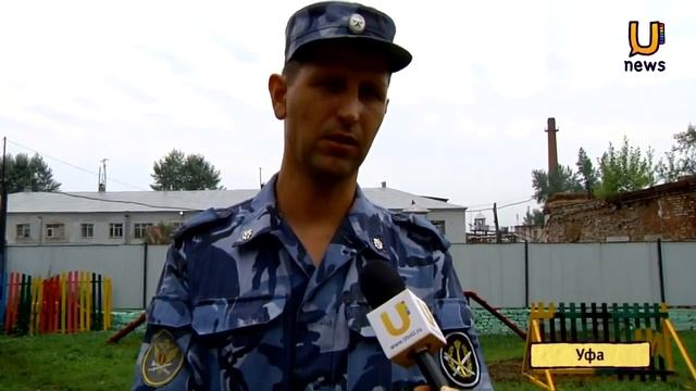 В Уфе скрестили волчицу и немецкую овчарку Волкособы