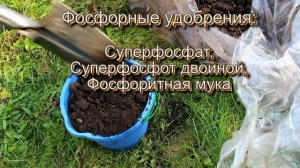 Какие удобрения вносить в почву осенью
