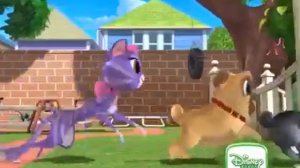 дружные мопсы на канале дисней