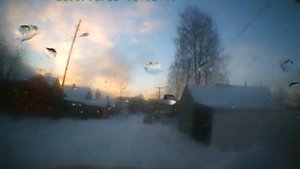 Собака напала на ребенка