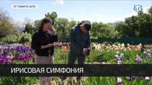 В Никитском ботаническом саду стартовал ежегодный карнавал ирисов