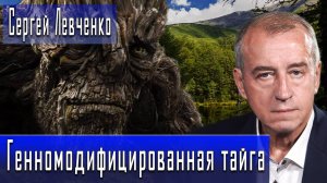 Генномодифицированная тайга. Новый распил #СергейЛевченко #ДмитрийДанилов