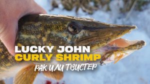 Твистер или Рак Уловистый Силикон Lucky John Curly Shrimp 2 Обзор Приманки