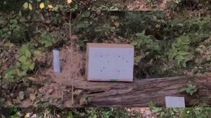 Отстрел #2 бульдог револьвер