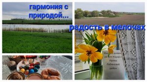 32.Растишки растут. Помагаем по хозяйству соседу. Прибрались на кладбище. Заброшенный хутор.
