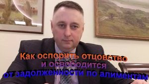 Как оспорить отцовство и освободится от задолженности по алиментам
