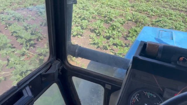 🌻Міжрядка продовжується 🌻👌МТЗ 892✅ смотреть онлайн