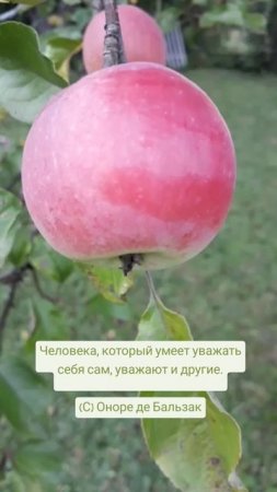 Человека, который умеет уважать себя сам... 🤗🌺🌿