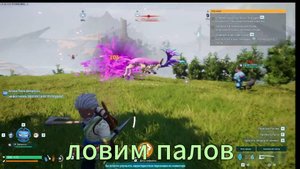 мастеры палов пал ворлд